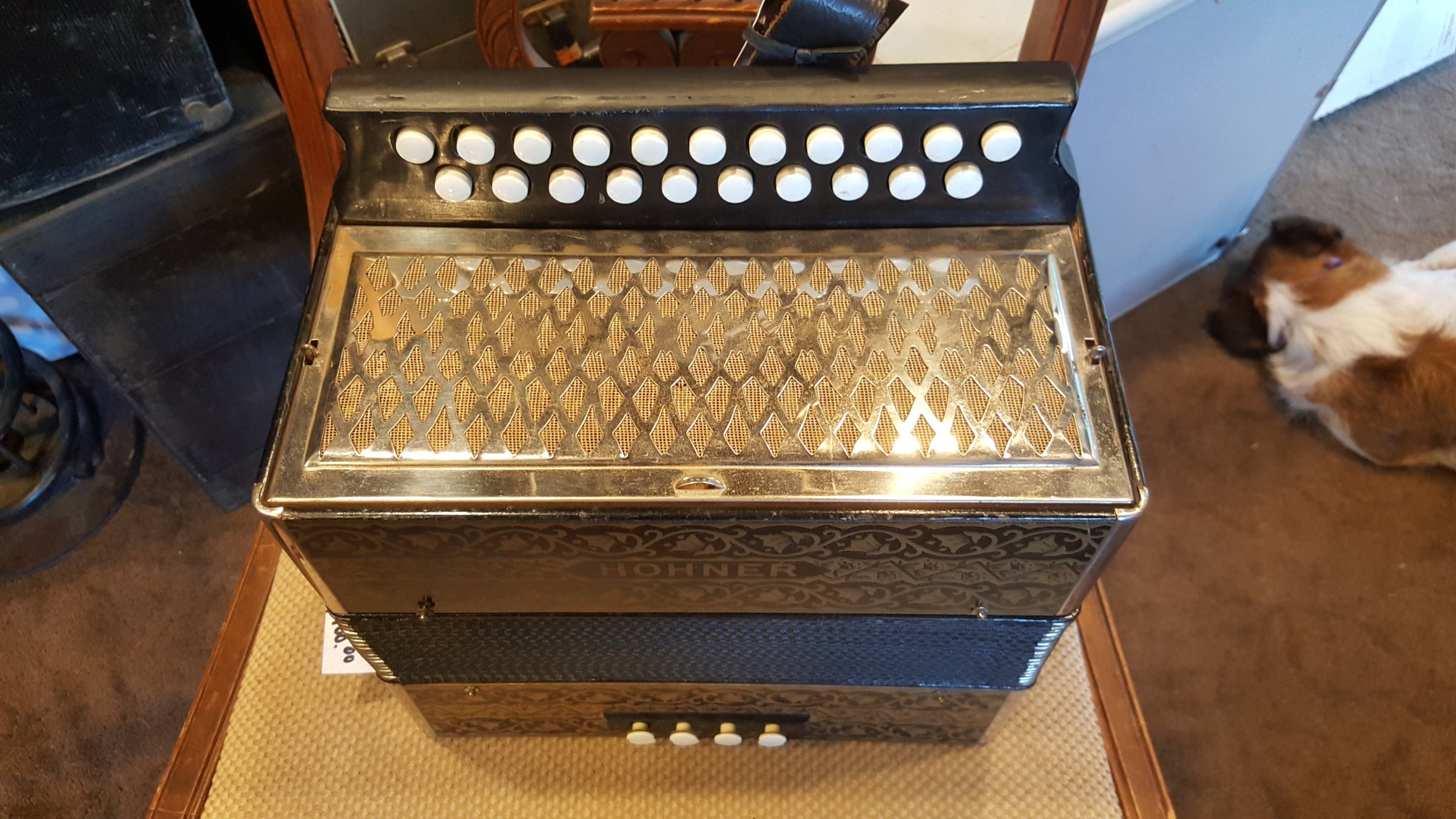 Hohner button shop box accordion
